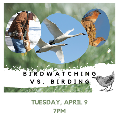 BIRDWATCHING VS. BIRDING BIRDWATCHING VS. BIRDING