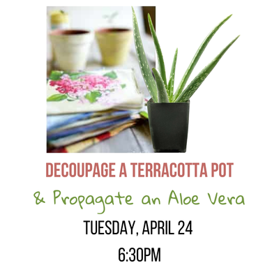 Decoupage a Terracotta Pot & Propagate an Aloe Vera
