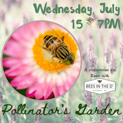 Pollinator's Garden - Adults Program - REGISTRATION CLOSED.