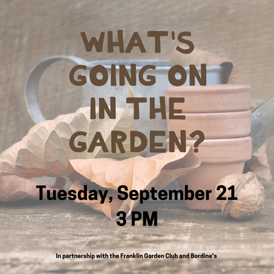 What's Going On in the Garden? What's Going On in the Garden?