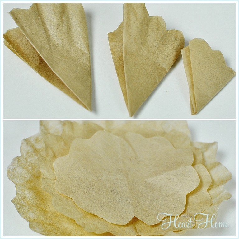 coffee filter 3.jpg