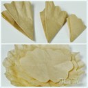 coffee filter 3.jpg