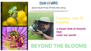 FB Beyond the Bloom (Photography) 7.15.25 (1).png