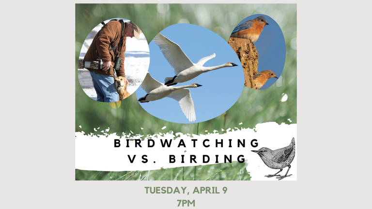 FB Birdwatching vs. Birding 4.9.24 .png
