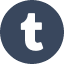 iconfinder_2018_social_media_popular_app_logo_tumblr_3225184.png