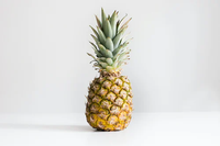 Franklin Garden Club website pineapple on white background