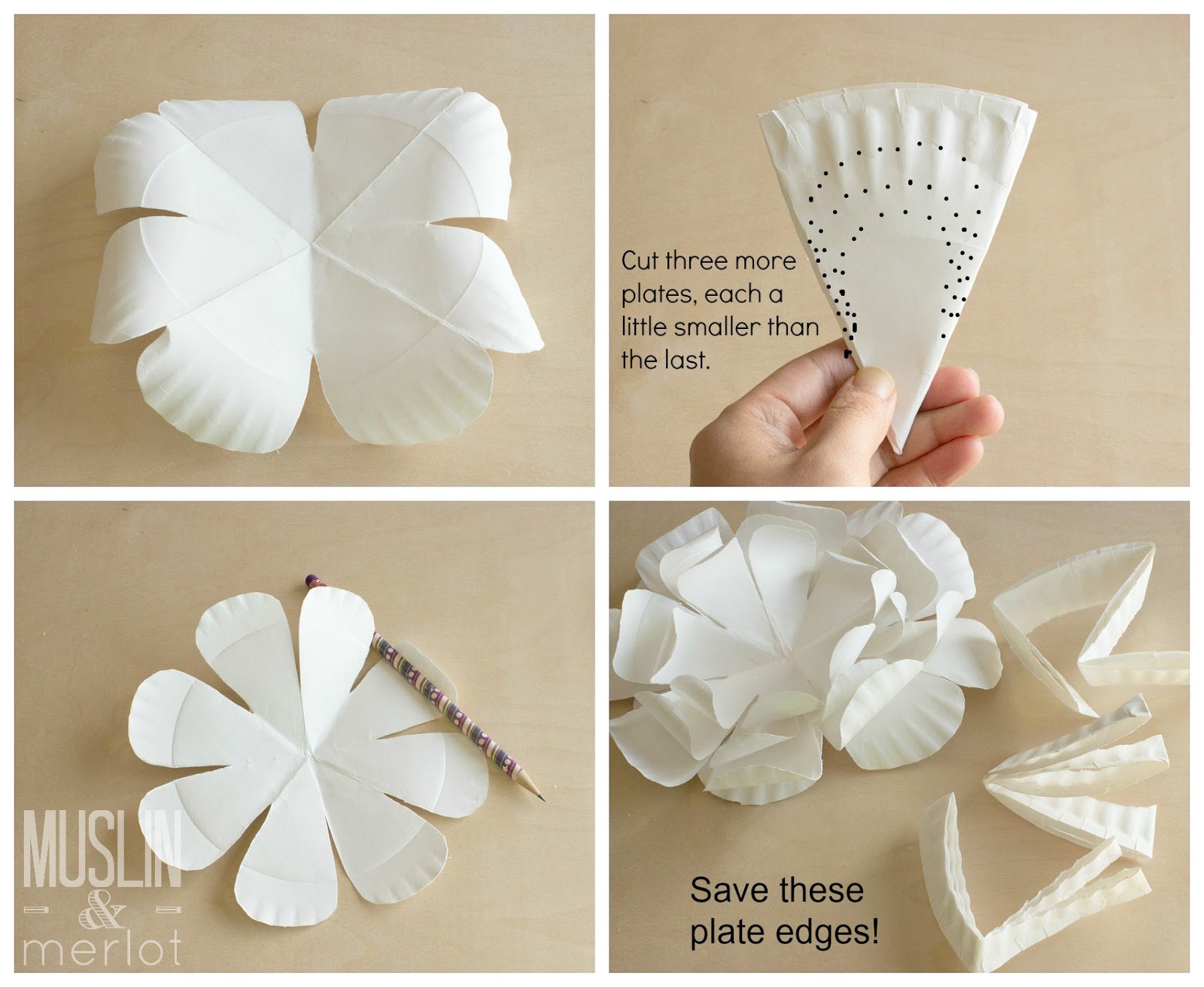 Paper Plate Flower collage B.jpg