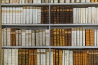 Link to Farmington Community Library Books on shelves