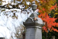 Cemetery sele with Fall colors in background